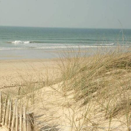 Ocean Breeze